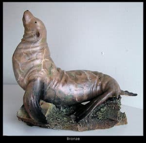 Bronze Sea Lion