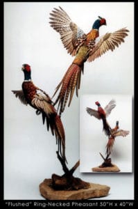 Flushed Pheasant