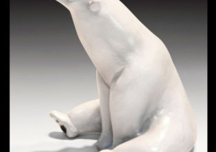 Pondering Polarbear