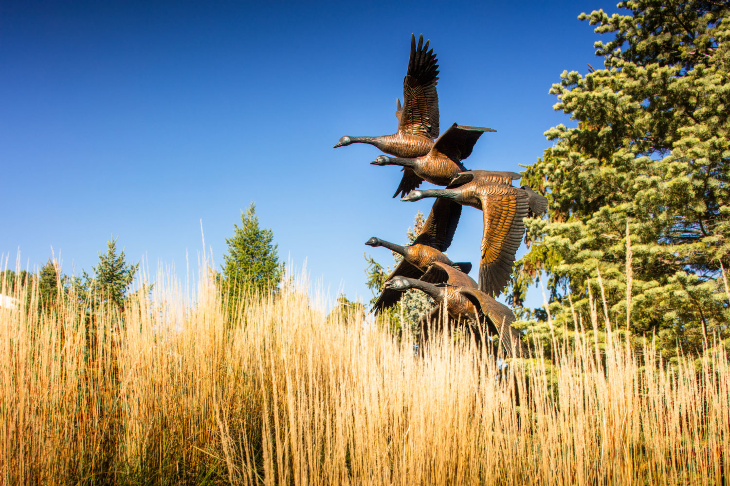 Bronze geese statue