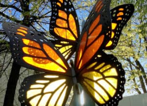 Acrylic Butterfly Sculpture